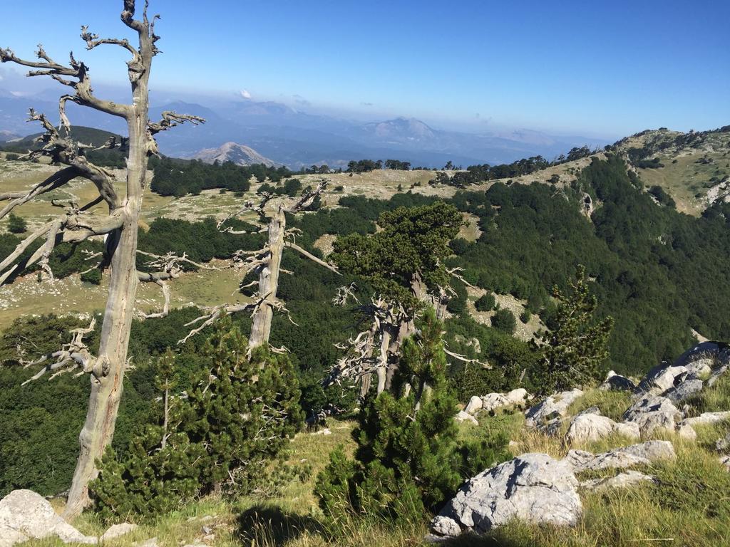 Hotel La Stella Del Pollino San Lorenzo Bellizzi Exteriér fotografie