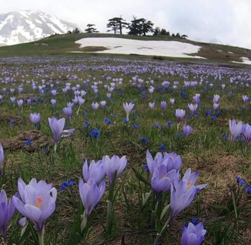 Hotel La Stella Del Pollino San Lorenzo Bellizzi Exteriér fotografie